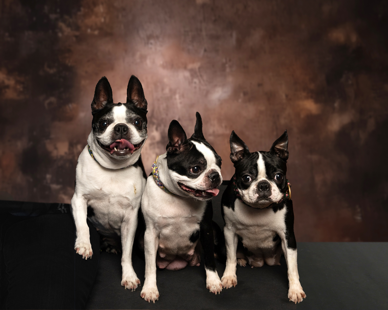 Portrait photo
