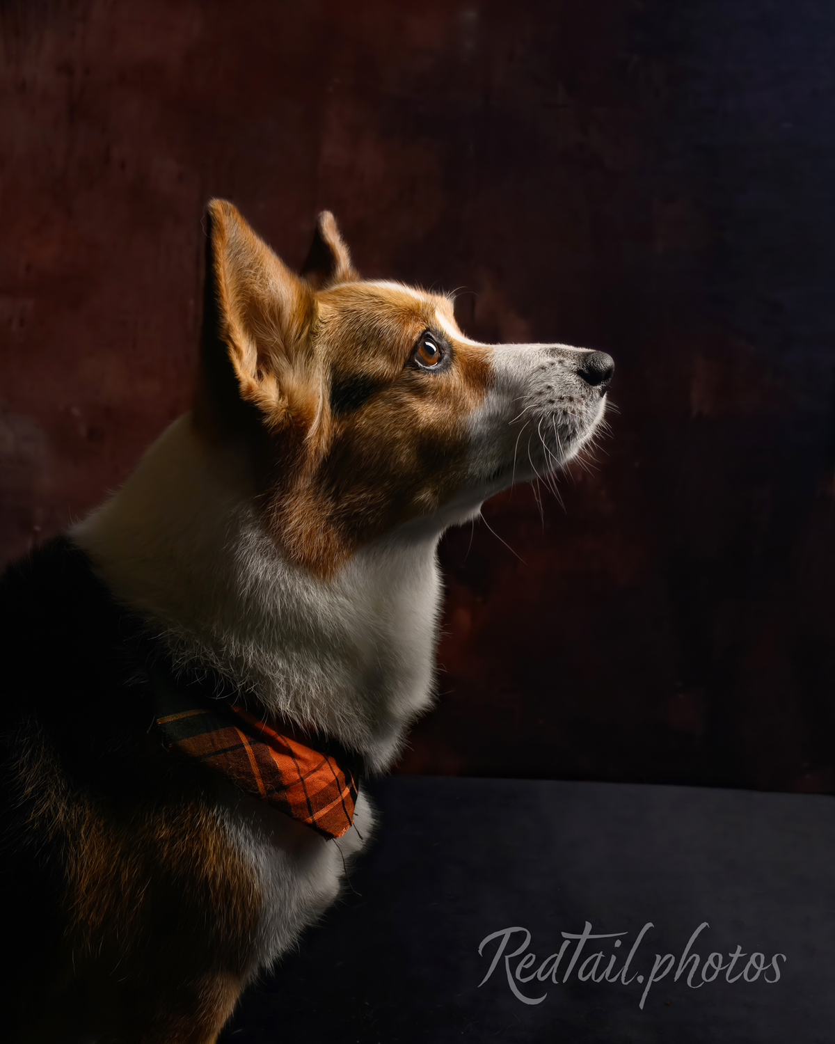 Portrait photo