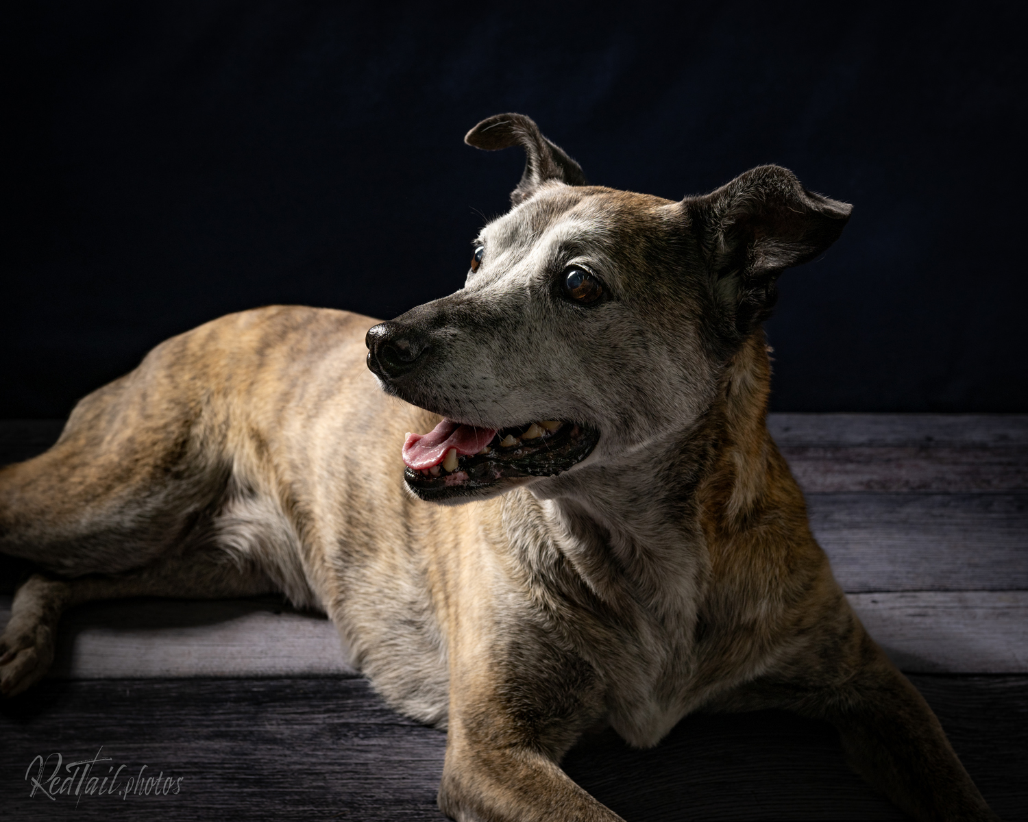 Portrait photo