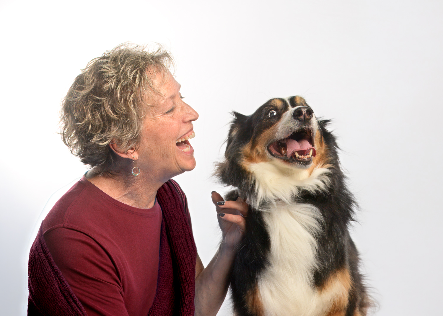 Dog photo